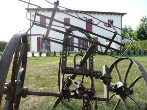 Fotografie z fotogalerie ubytování Agriturismo Campoverde v destinaci Camponogara