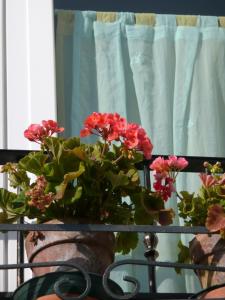 Fotografie z fotogalerie ubytování Agriturismo Campoverde v destinaci Camponogara