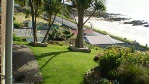 un jardín con palmeras y una playa en Mike & Jenny's Kaka Point Accommodation, en Kaka Point