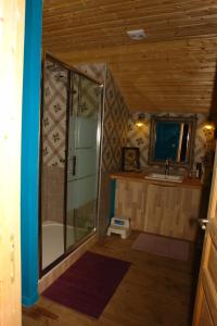 a bathroom with a shower and a sink at Domaine de Maleval in Mars