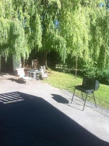 Zahrada ubytování Ferienhaus Vera