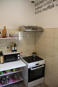 Kuchyňa alebo kuchynka v ubytovaní Holiday Home Luznar
