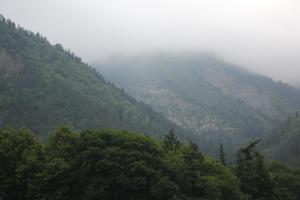 a view of a mountain covered in fog and trees at Firuza Hostel in Borjomi