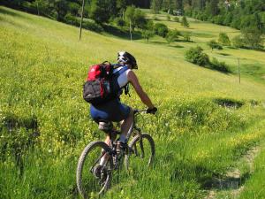 a person riding a bike in a grassy field at Hotel Center Pokljuka in Goreljek