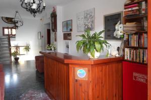 a bar in a living room with a plant on it at La Plage in Kokkari