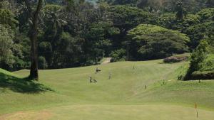 Golf facilities sa villa o sa malapit