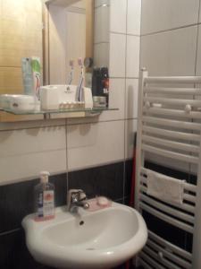 a bathroom with a sink and a mirror at Panorama 5 in Soko Banja +22 photos