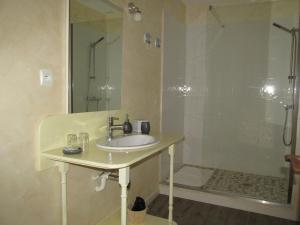 a bathroom with a sink and a shower at Retour aux Sources in Gouberville