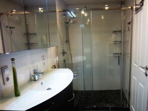 a bathroom with a shower and a sink at Wohnung auf einem alten Bauernhof in Neuheilenbach +5 photos