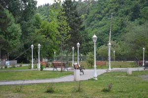 Garður fyrir utan RiverSide Hostel Borjomi