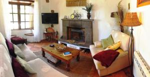 Una sala de estar con un sofá y una chimenea. en Finca San Pablo Icod de los Vinos, en Icod de los Vinos