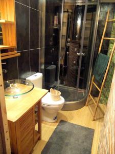 a bathroom with a shower with a toilet and a sink at Les Hirondelles in Sainte-Suzanne