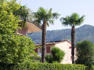 a house with three palm trees in front of it at sopra al FORTE in Querceta
