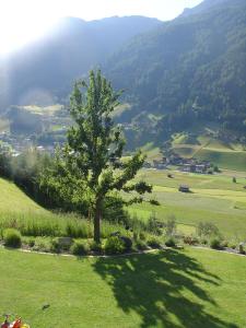 Paesaggio naturale nelle vicinanze dell'affittacamere