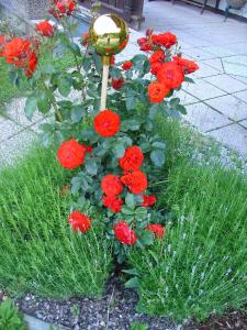 Giardino di Haus Fernblick
