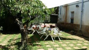 un groupe de chaises et une table sous un arbre dans l'établissement Mas Pericay, à Pals