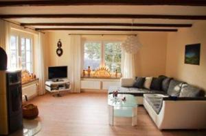 ein Wohnzimmer mit einem Sofa und einem TV in der Unterkunft Ferienhaus Landmann in Tannenberg