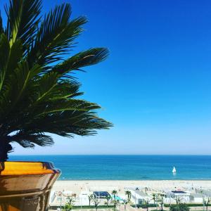 uma vista para uma praia com uma palmeira e o oceano em Hotel Select Suites & Spa - Apartments em Riccione