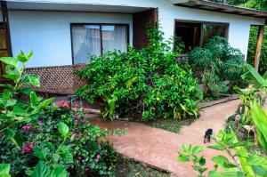 a cat sitting in front of a house with plants at Cabañas MANA NUI INN in Hanga Roa