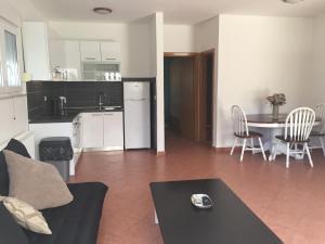 a kitchen and a living room with a table and a kitchen and a dining room at Ana's apartments in Petrcane +17 photos