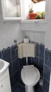 a bathroom with a white toilet and a window at Apartment Amalija in Primošten