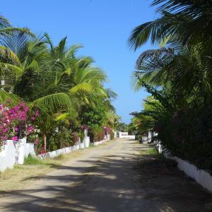 a road with palm trees and flowers on the side at Downtown Malindi Apartment in Malindi