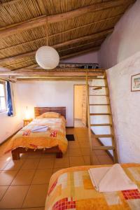 a bedroom with two bunk beds and a ladder at La Selenita in Sucre