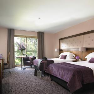 Imagen de la galería de Dunboyne Castle Hotel & Spa, en Dunboyne