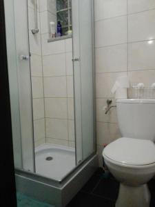 a bathroom with a toilet and a glass shower at Oaza Kaszubska Studzienice in Studzienice
