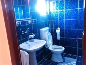 bagno piastrellato blu con servizi igienici e lavandino di Guest house Ćane Smestaj a Bela Crkva