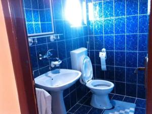 Koupelna v ubytování Guest house Ćane Smestaj