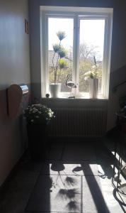 イェヴレにあるHotel Tre Stockarの鉢植えの窓付きの部屋
