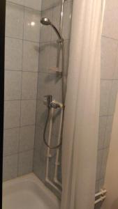 コロリョフにあるApartments in Korolevのシャワー(シャワーヘッド、シャワーカーテン付)