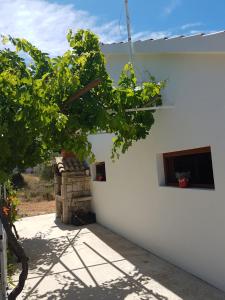 Gallery image of Hvar-Pakleni islands- isolated Robinson House Moj Mir in Hvar