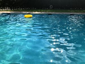 un frisbee jaune dans une piscine bleue dans l'établissement Camping Pirinenc, à Campdevánol