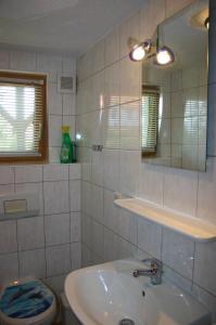 a bathroom with a sink and a toilet and a mirror at Boddenbrise in Born