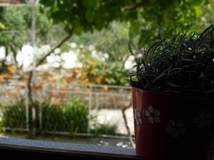 Gallery image of Hvar-Pakleni islands- isolated Robinson House Moj Mir in Hvar