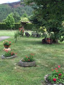 A garden outside Alojamiento en entorno rural Los Trobos