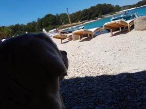 Gallery image of Hvar-Pakleni islands- isolated Robinson House Moj Mir in Hvar
