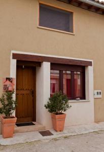 a house with two potted plants in front of a door at La Morada del Druida in Los Narros