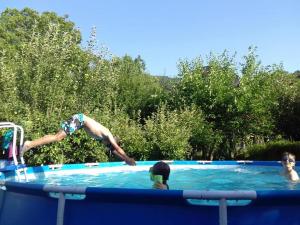 a boy jumping into a swimming pool at Guest House Dimitrije in Niška Banja
