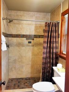 a bathroom with a shower with a toilet at Hungry Trout Resort in Wilmington