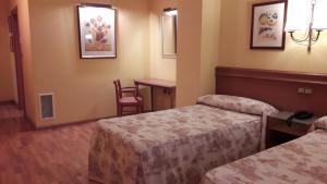 Posteľ alebo postele v izbe v ubytovaní Hotel Juan Carlos I