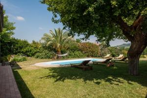 a swimming pool with two chairs and a tree at Agriturismo La Vecchia Fonte in Castelbellino +20 photos