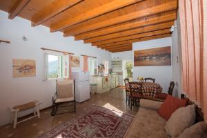 a living room with a couch and a kitchen at Villa Sofia in Symi