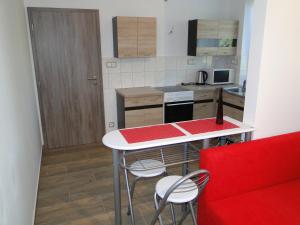 Kuchyň nebo kuchyňský kout v ubytování Apartmán Lhota
