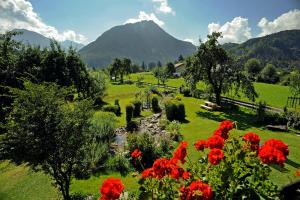 a garden with red flowers and a mountain in the background at Ferienwohnungen Scheibenhaus in Oberstdorf