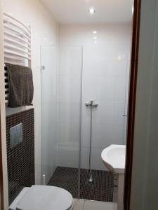 Kúpeľňa v ubytovaní Spa Apartamenty Lidzbark + 37 fotografií
