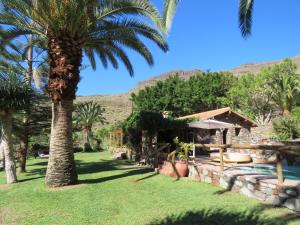 a house with a palm tree and a swimming pool at Villa Ayagaures in Los Palmitos