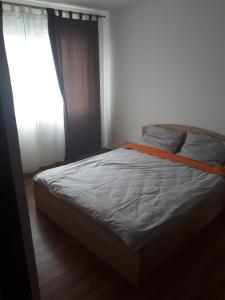 Φωτογραφία από το άλμπουμ του Apartament Faleza Dunării σε Orşova +7 φωτογραφίες